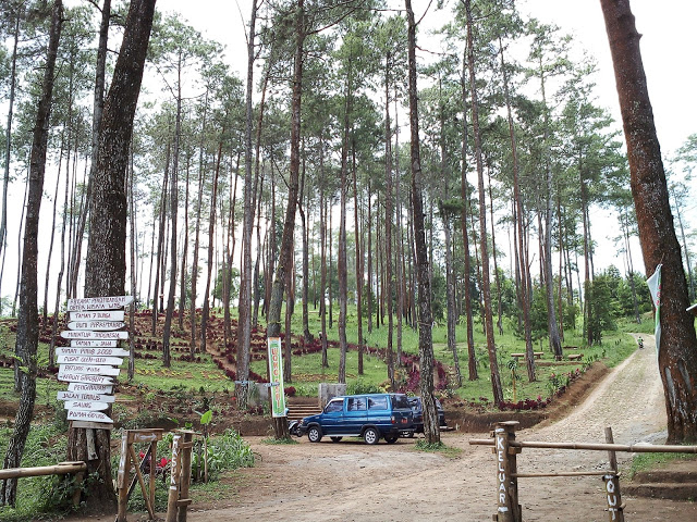 hutan seper jatipurno wonogiri