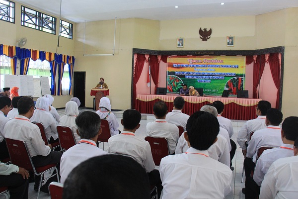 Penyuluh Pertanian Diharapkan Bantu Petani Kembangkan Agribisnis Cabe