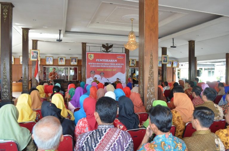 WhatsApp Image 2017-11-02 at 12.37.20(2)