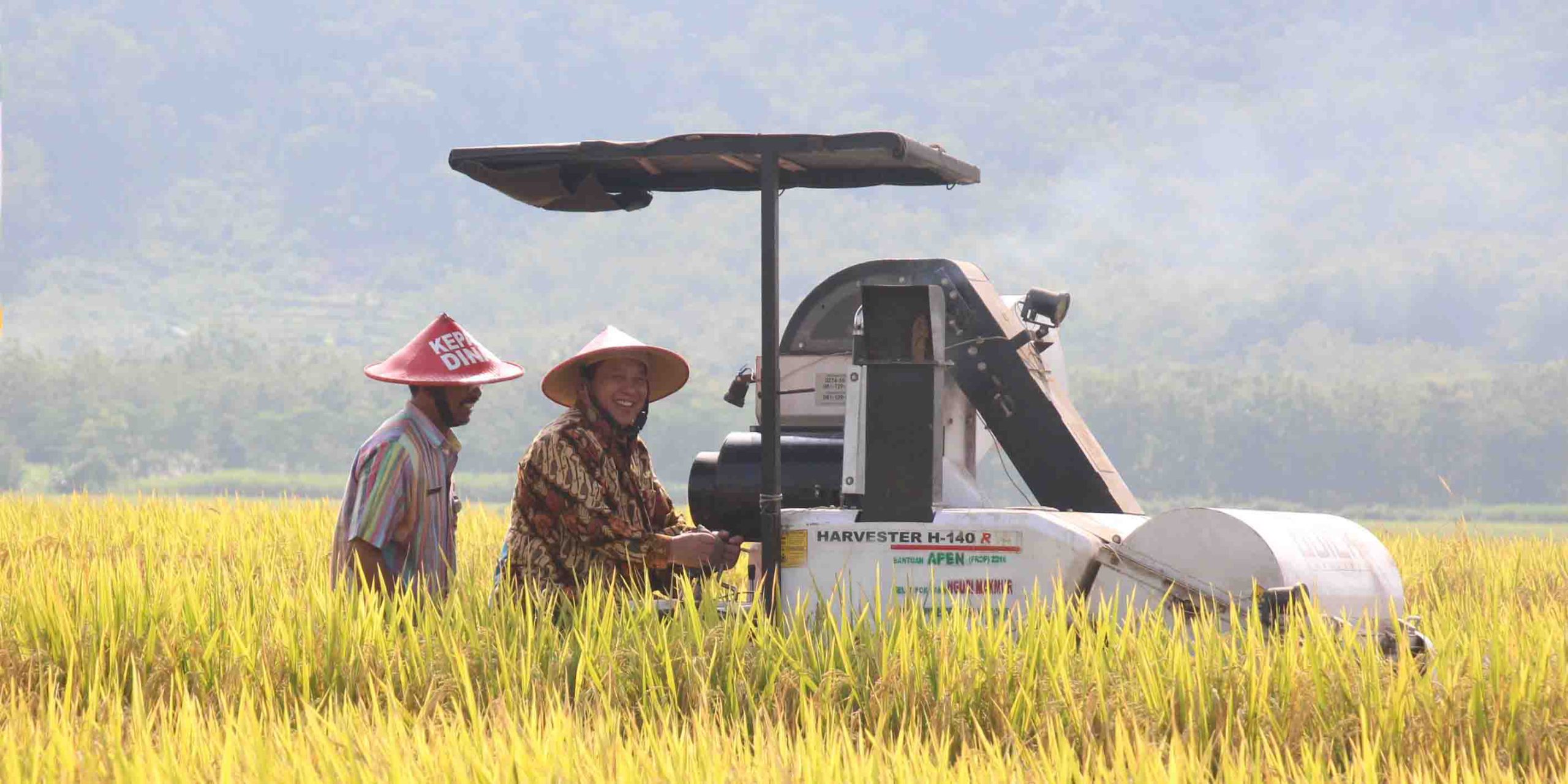 f-panen padi gemantar1