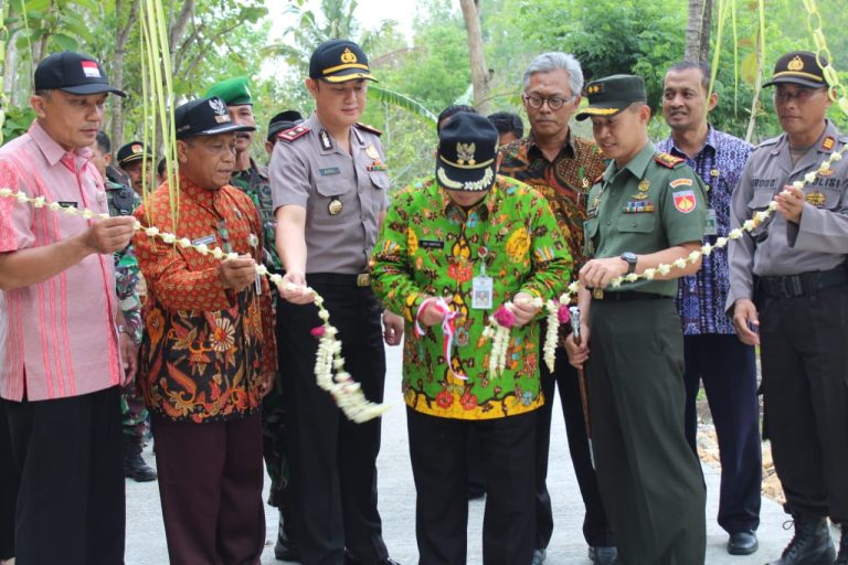 WhatsApp Image 2018-11-13 at 13.45.07