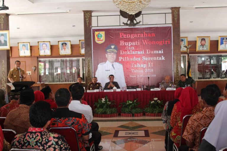 WhatsApp Image 2018-11-26 at 23.06.12