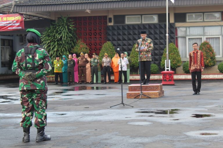 WhatsApp Image 2018-12-27 at 12.02.54