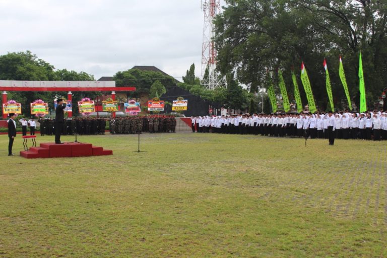 WhatsApp Image 2019-01-03 at 10.20.23