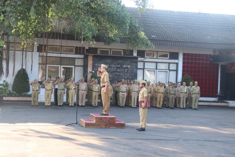 WhatsApp Image 2019-06-10 at 12.35.13