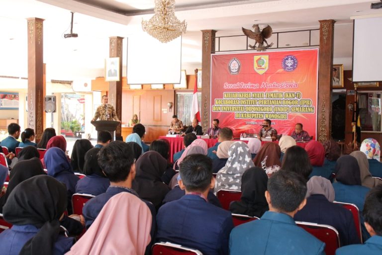 WhatsApp Image 2019-06-19 at 08.45.11