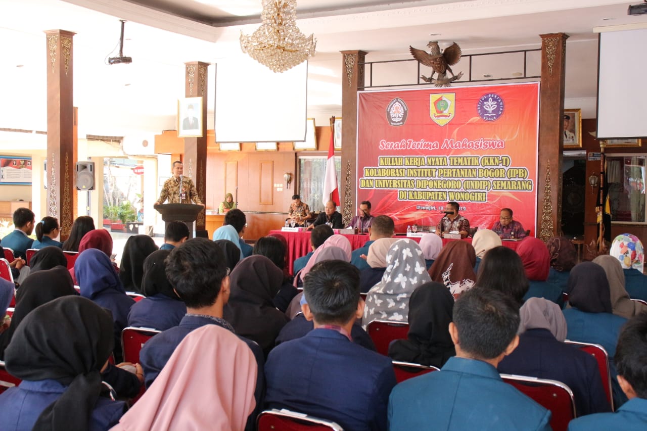 WhatsApp Image 2019-06-19 at 08.45.11