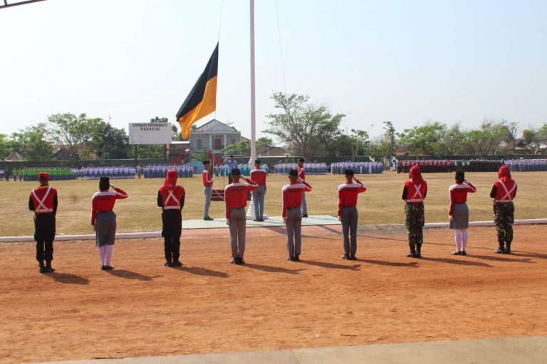 WhatsApp Image 2019-08-15 at 11.07.30