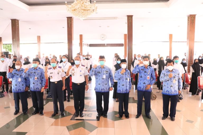 WhatsApp Image 2020-11-20 at 08.27.00