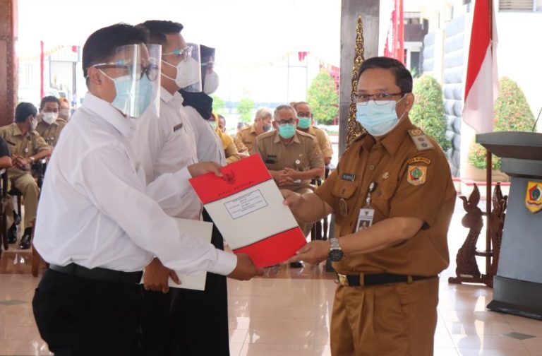 WhatsApp Image 2021-01-06 at 07.22.59