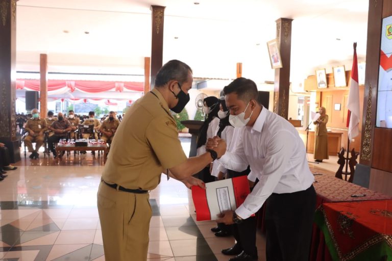 WhatsApp Image 2022-06-28 at 11.55.38