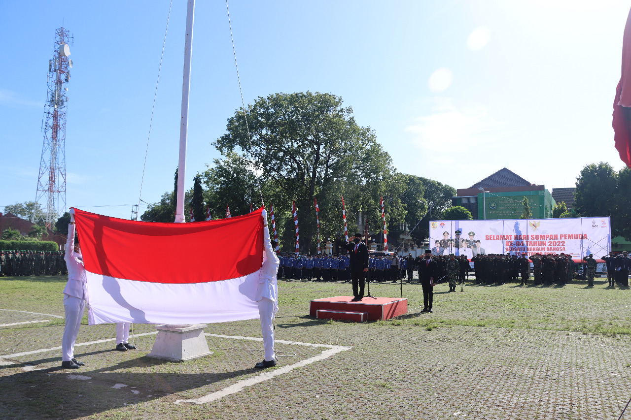 WhatsApp Image 2022-11-07 at 11.39.49