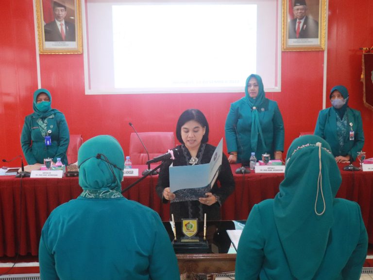 WhatsApp Image 2022-12-16 at 09.31.48