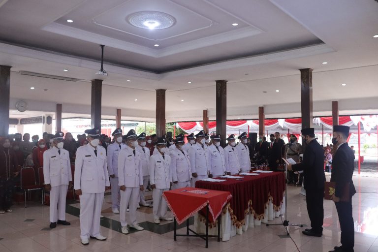 WhatsApp Image 2022-12-30 at 10.49.31