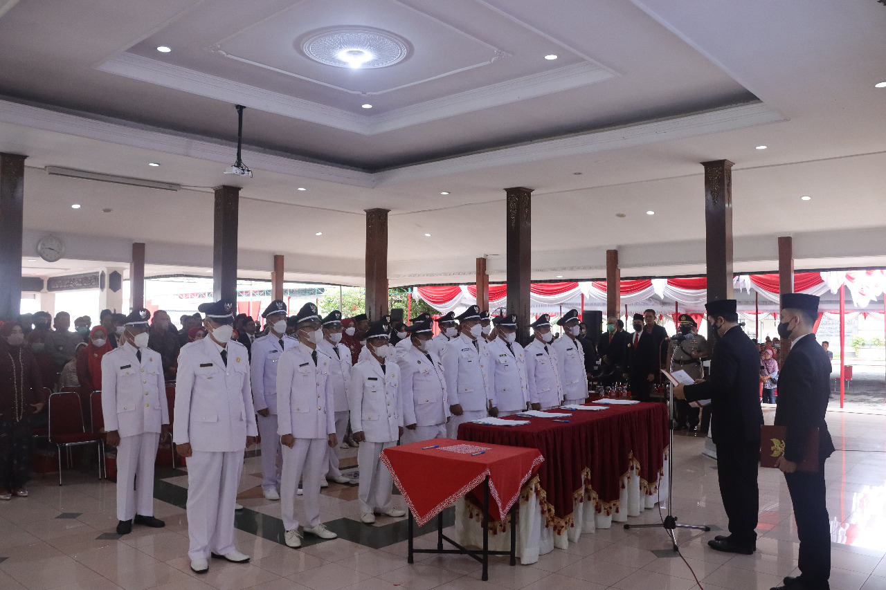 WhatsApp Image 2022-12-30 at 10.49.31