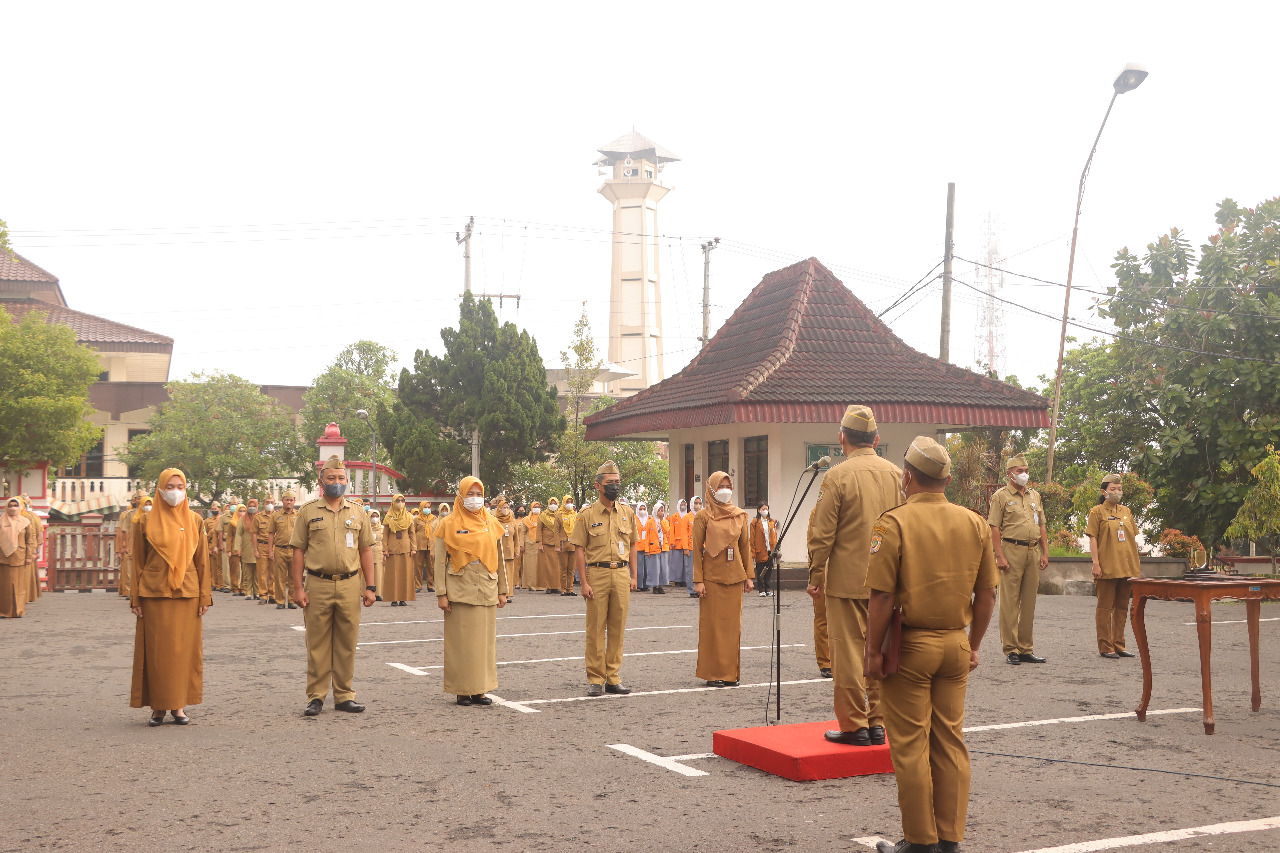 WhatsApp Image 2023-01-02 at 08.34.30(1)