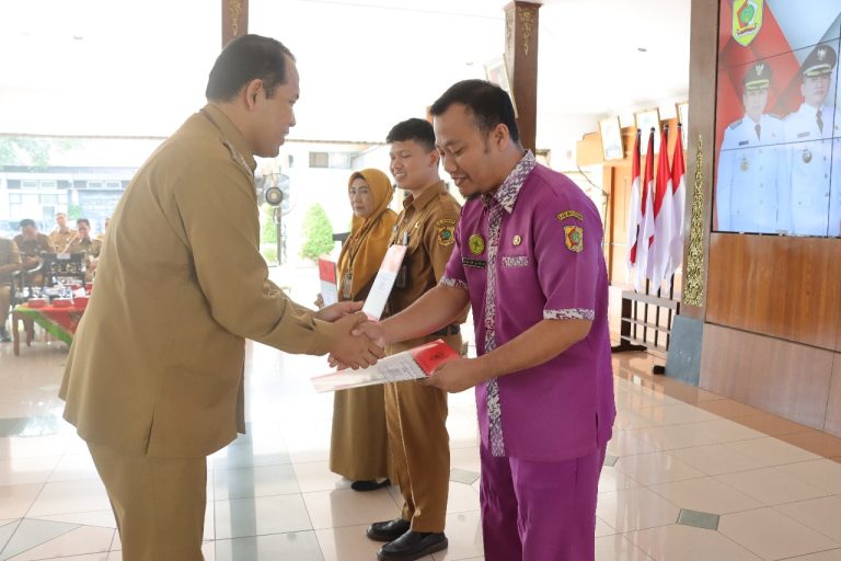 WhatsApp Image 2024-06-27 at 08.45.00