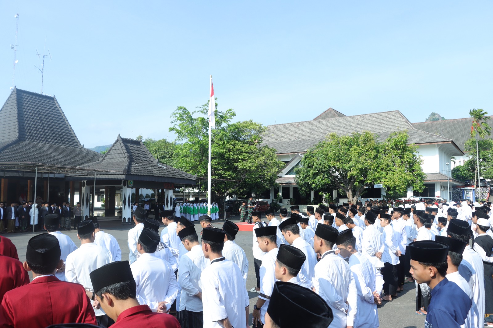 WhatsApp Image 2024-11-05 at 08.06.23