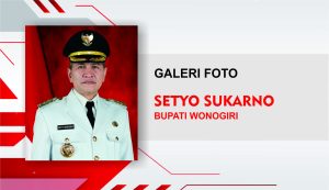 galeri foto web